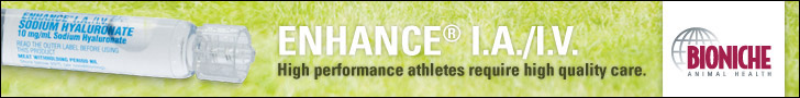 Enhance-Leaderboard_The-Veterinarian